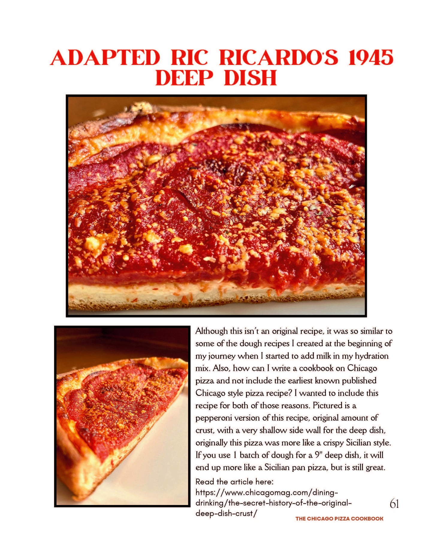 The Chicago Pizza Cookbook PDF download
